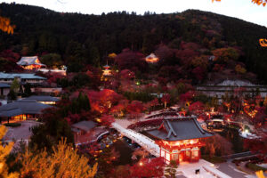 坂が多い同寺の境内